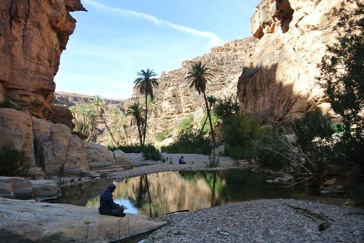 Wild life exploration - Image 5