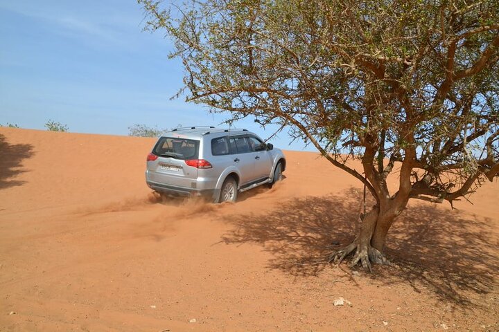 Wild National Park & Sahara Desert including Couscous & Tajine - Image 2