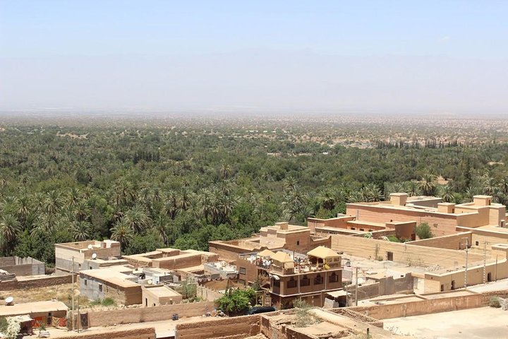Withlocale Taroudant Tiout Oasis Tour from agadir with lunch  - Image 3