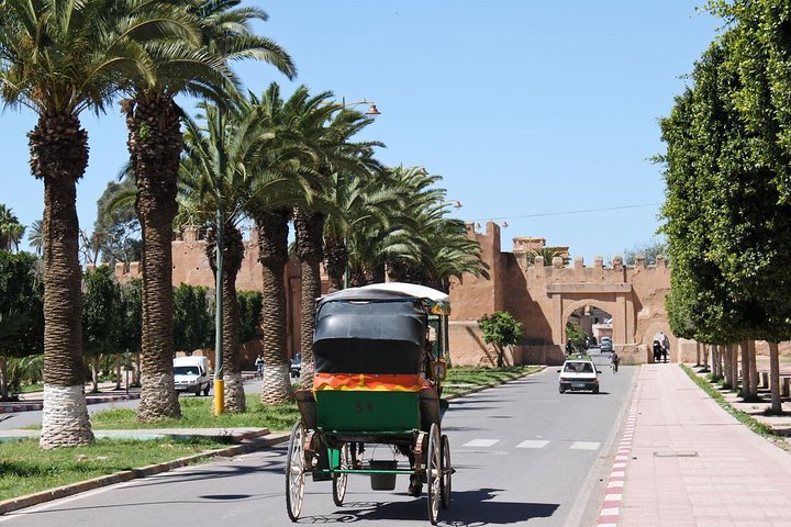 Withlocale Taroudant Tiout Oasis Tour from agadir with lunch  - Image 4