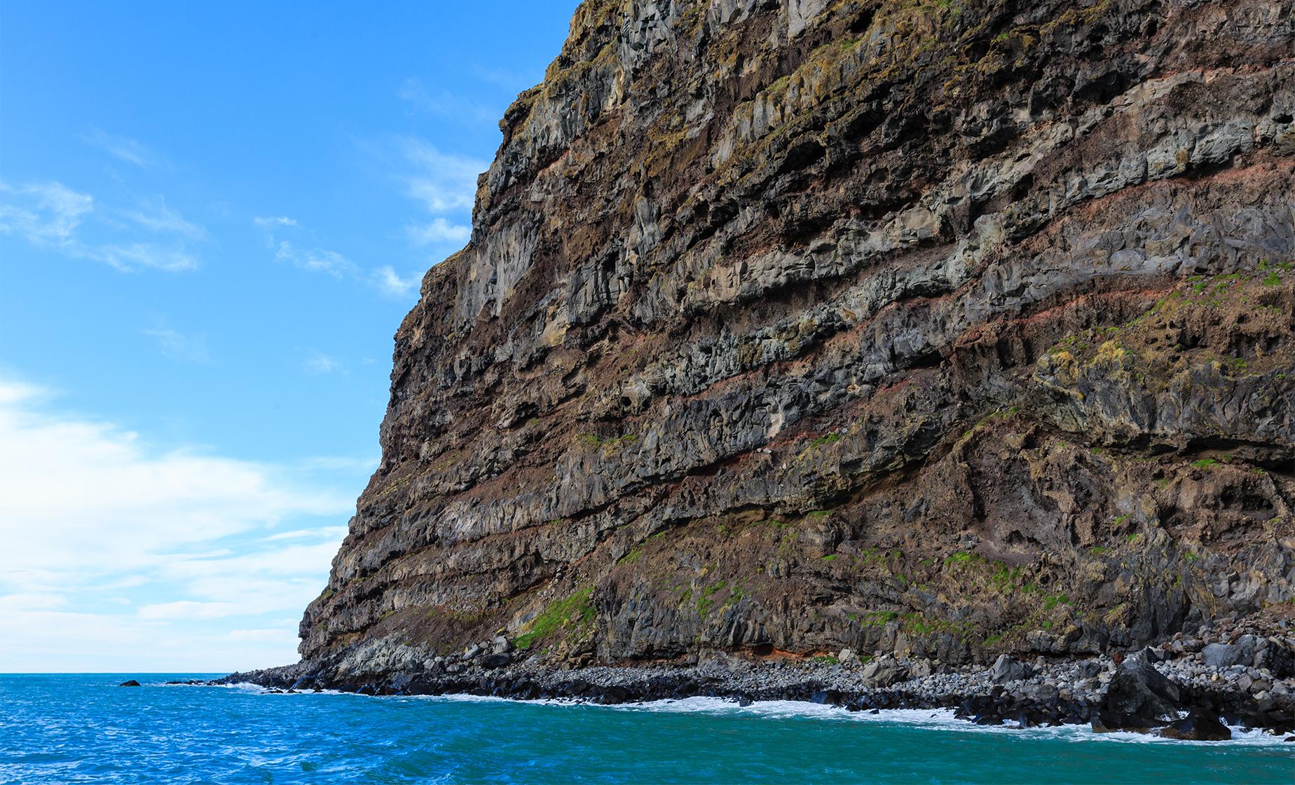 Akaroa Harbor & Wildlife Cruise - Image 1
