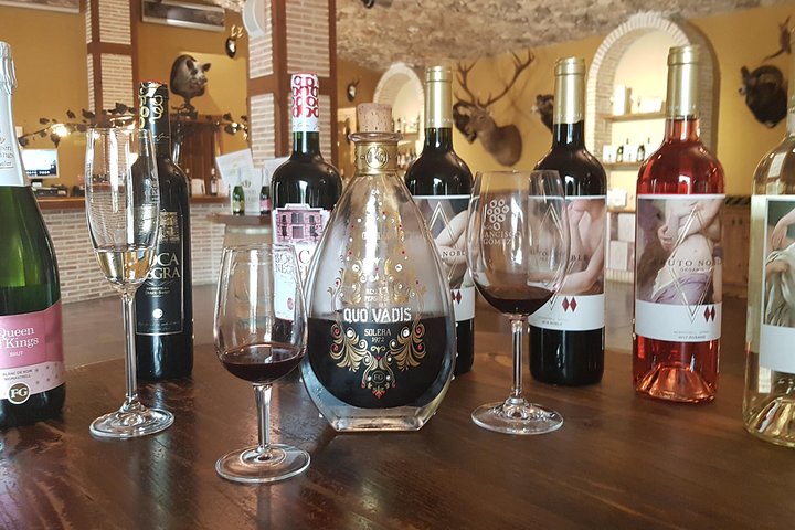 5-Hour Private Tour from Alicante to Villena - Image 5