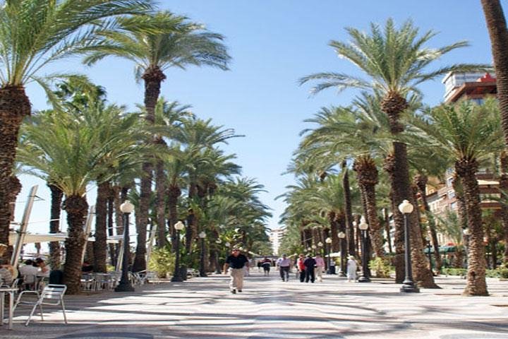 Alicante Shore Excursion: Private Walking Tour - Image 3