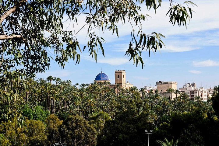 Experience the World Heritage City of Elche private tour - Image 1