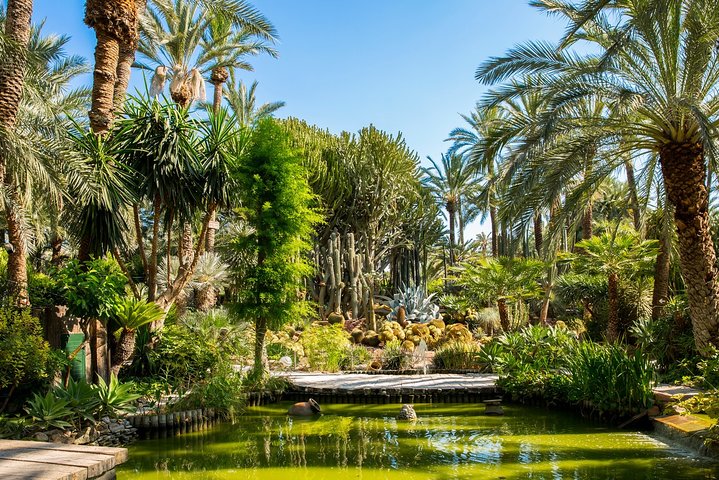 Experience the World Heritage City of Elche private tour - Image 3