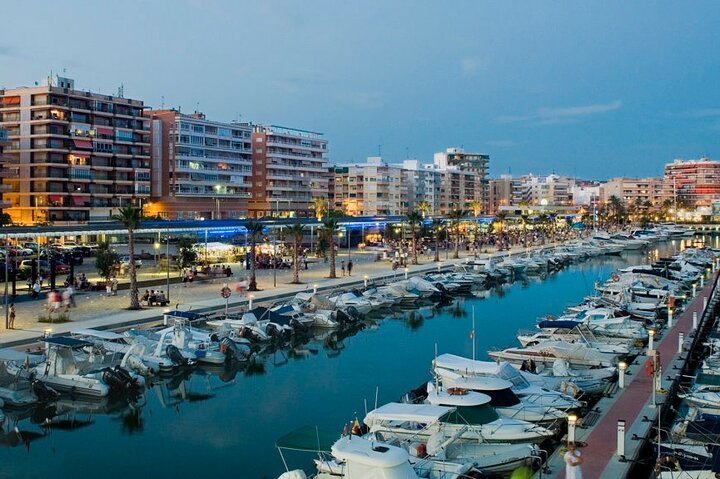 Half Day Private Tour in Elche and Santa Pola - Image 1