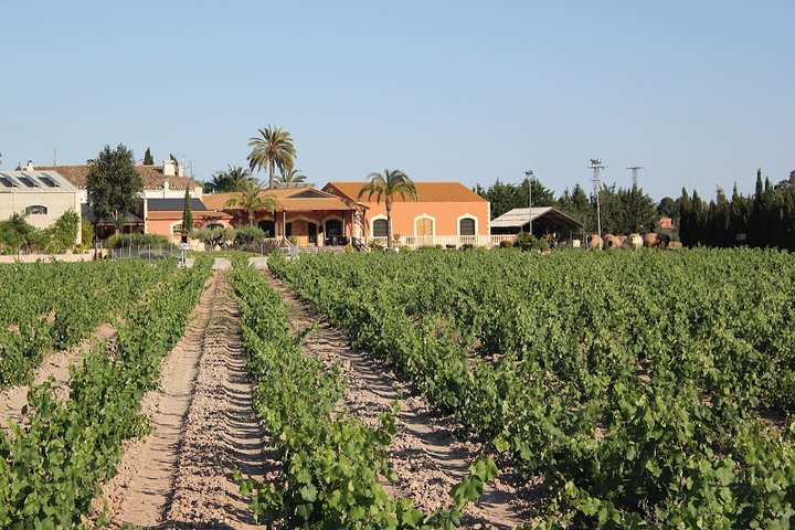 Private Tour of Vinalopó Castles and Wine Tasting - Image 2