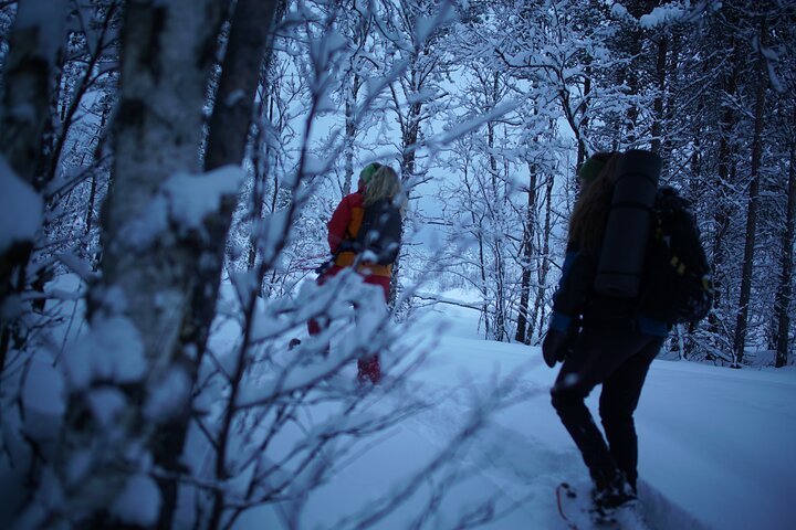 4 hour Winter Adventure Includes Snowshoe Trip and Visiting the Ice Hotel - Image 2