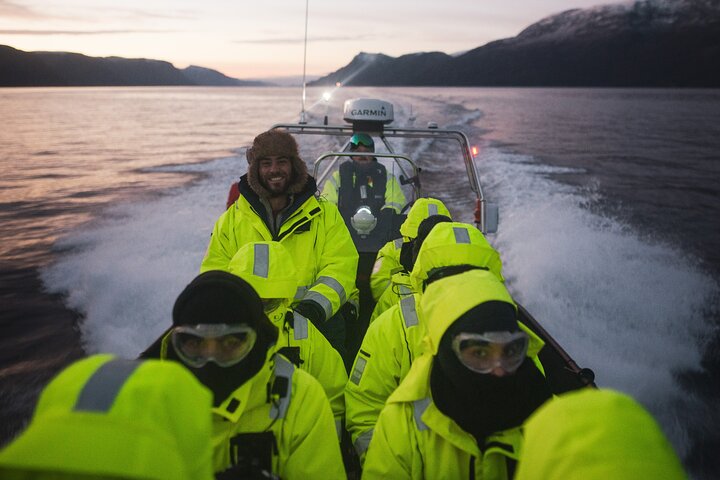 Fjord and Whale Safari Tour - Image 3