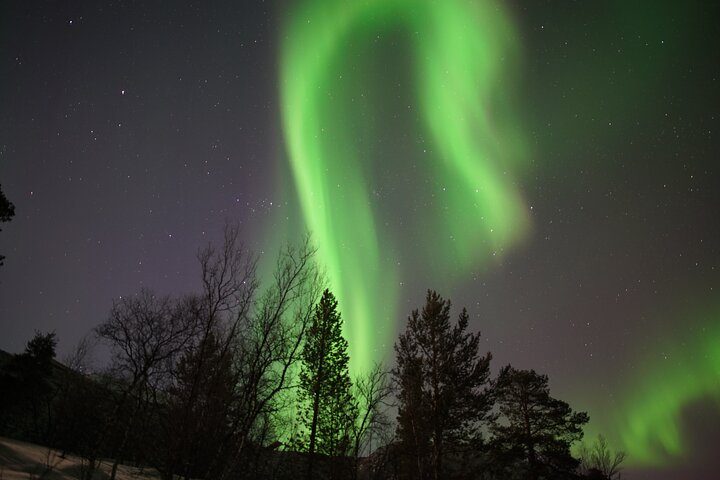 Northern Lights Hunt - Image 4