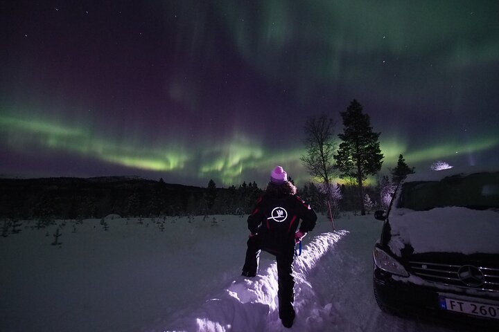 Northern Lights tour with Alta Adventure - Image 5