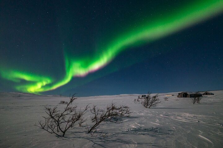 Private Northern Lights Hunt - Image 2