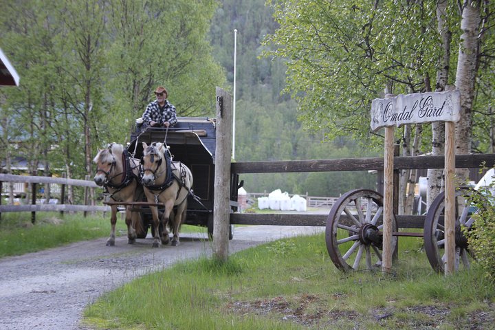 Sleigh Ride w/ snacks - Experience Arctic Farm Life - Image 5