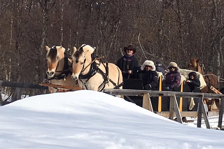 Sleigh Ride w/ snacks - Experience Arctic Farm Life - Image 1