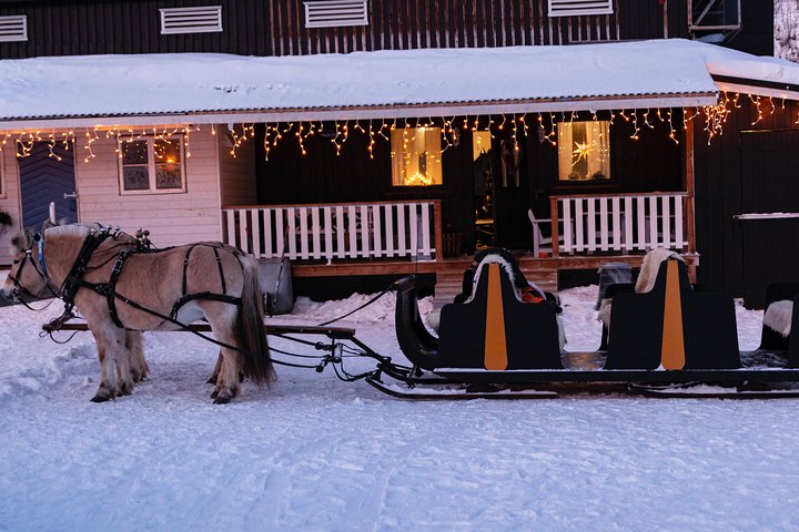Sleigh Ride w/ snacks - Experience Arctic Farm Life - Image 2