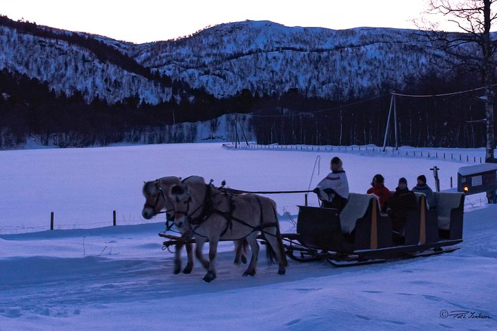 Sleigh Ride w/ Tapas Meal - Experience Arctic Farm Life  - Image 2