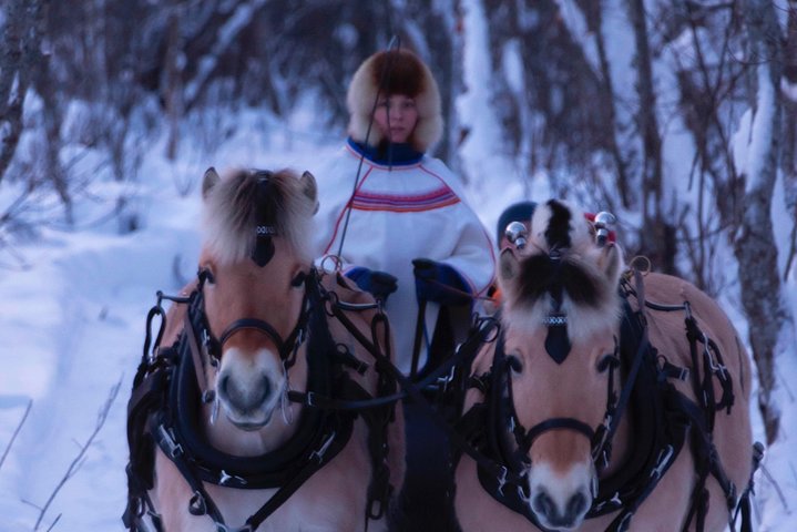 Sleigh Ride w/ Tapas Meal - Experience Arctic Farm Life  - Image 1