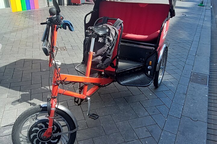 1 Hour Private Amsterdam Rickshaw Tour  - Image 3