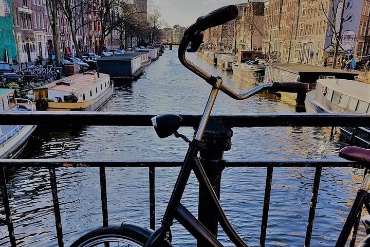 Amsterdam City & Countryside Tour: The Best of both Worlds - Image 3