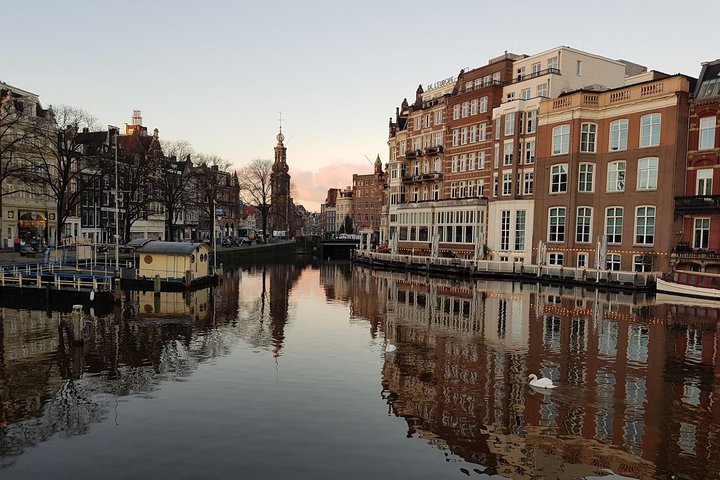 Amsterdam City & Countryside Tour: The Best of both Worlds - Image 2