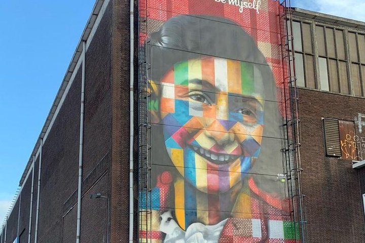 Amsterdam City & Countryside Tour: The Best of both Worlds - Image 4