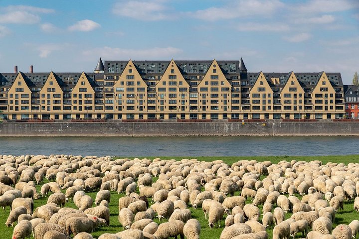 Cologne Private Full-Day Sightseeing Tour from Amsterdam - Image 4