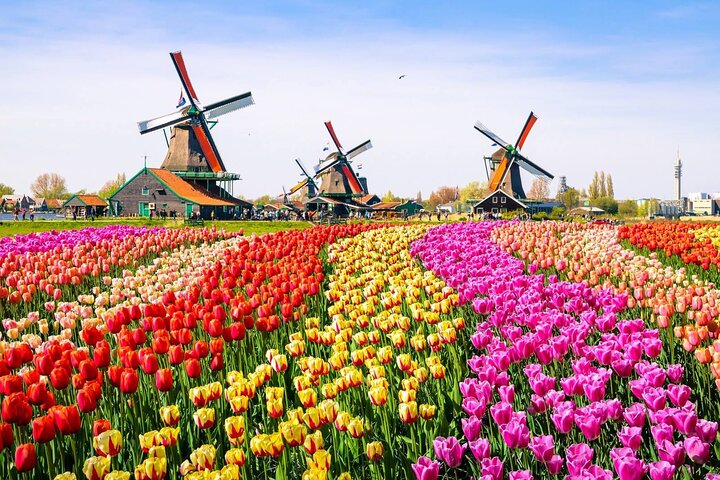 Countryside & Zaanse Schans Windmills Tour - Image 3