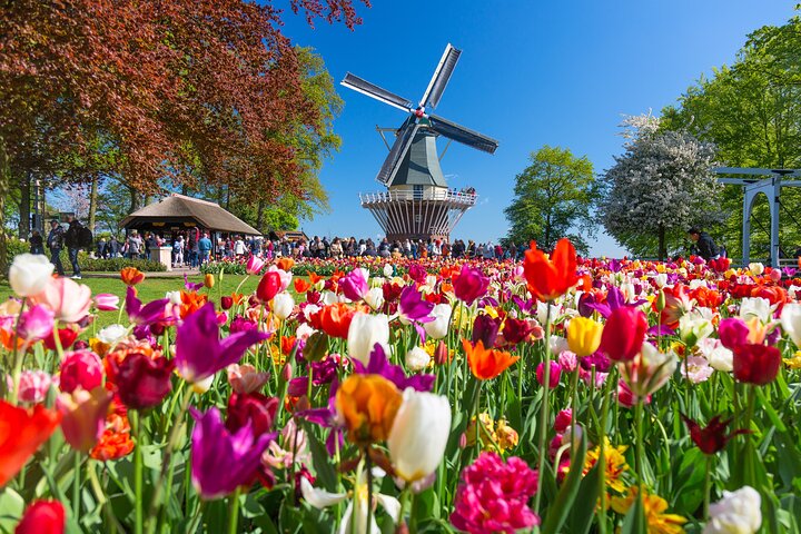 Fast Track Keukenhof Gardens from Amsterdam by Private Car - Image 1