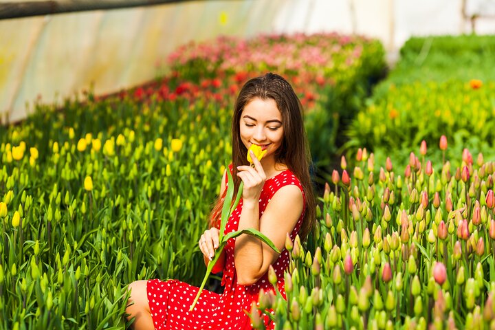 Fast Track Keukenhof Gardens from Amsterdam by Private Car - Image 2