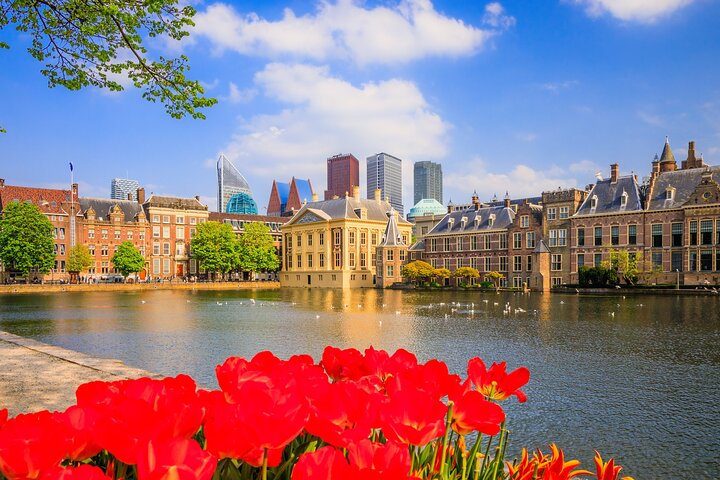 Full Day Private Shore Tour in Hague from Amsterdam Cruise Port - Image 1
