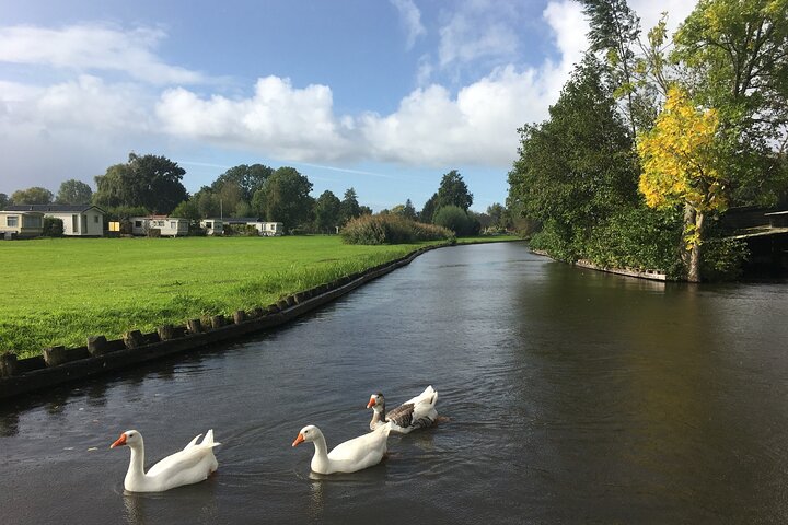 Giethoorn and Zaanse Schans Day Tour Small Group Incl. Boat Ride - Image 5