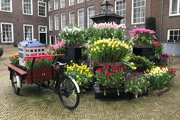 Keukenhof 2024 Private Floral Tour - Image 2
