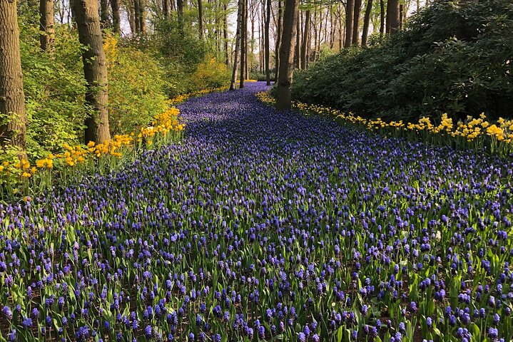 Keukenhof, Flower Fields & Zaanse Schans Windmills - Private Day Tour - Image 2