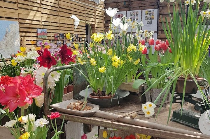 Millions of Flowers in Bloom: Keukenhof and Flower Fields - Image 5