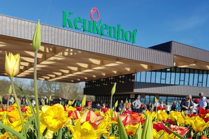 Millions of Flowers in Bloom: Keukenhof and Flower Fields - Image 4
