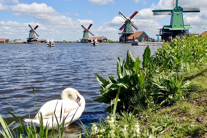Private countryside tour: the highlights of Holland with guide and car - Image 1