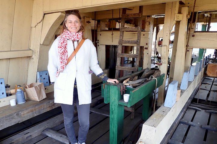Private countryside tour: the highlights of Holland with guide and car - Image 3