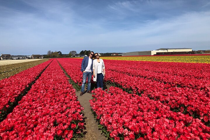 Private Day Tour to Keukenhof Flower Fields and Delft City - Image 5