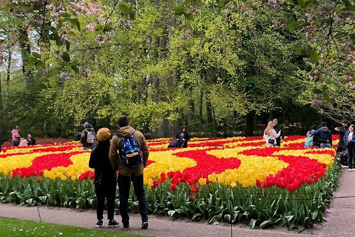 Private Tour to Keukenhof Gardens with guide - Full Day Tour from Amsterdam - Image 3