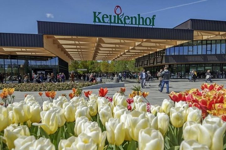 Private Tour to Keukenhof Gardens with guide - Full Day Tour from Amsterdam - Image 2