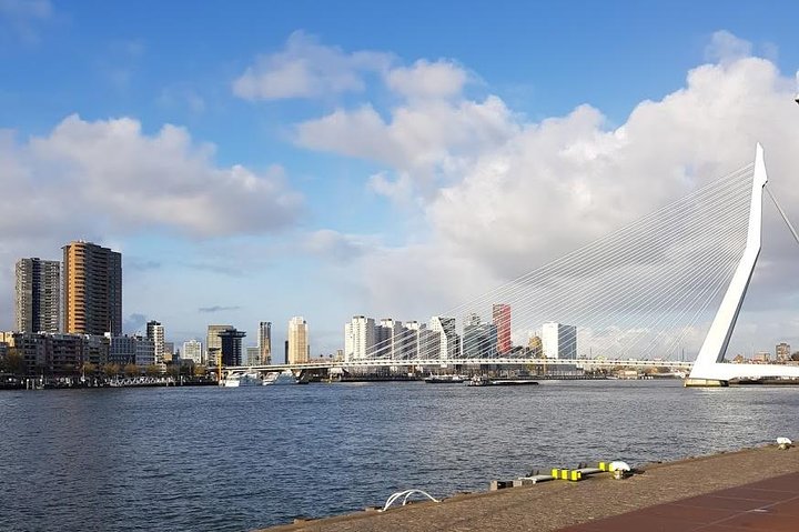 Rotterdam & Kinderdijk: Daytrip from Amsterdam - Image 1