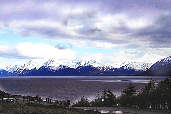 Private Half-Day Nature Tour from Anchorage - Image 5