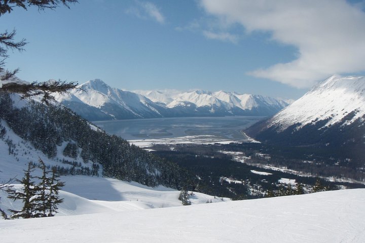Whittier to Anchorage Cruise Transfer and Private Tour - Image 1