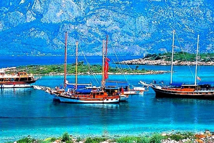 Private Daily Boat Tour ! - Image 2