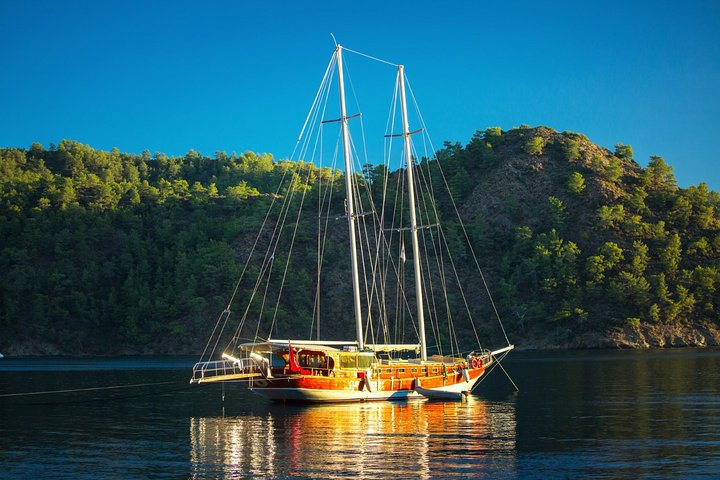 Private Daily Boat Tour ! - Image 4