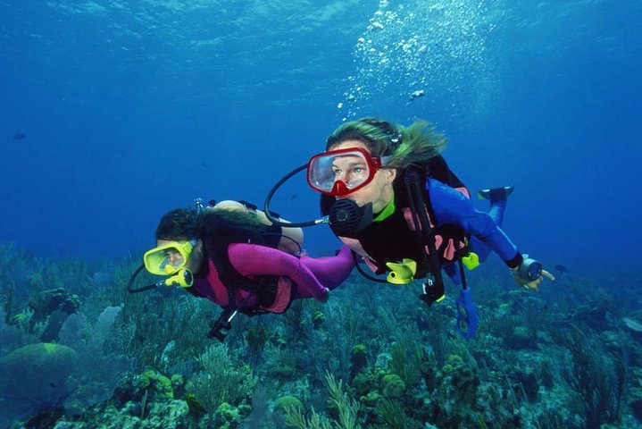 Scuba Diving Tour From Alanya - Side - Antalya - Image 1