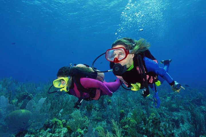 Scuba Diving Tour From Alanya - Side - Antalya - Image 5