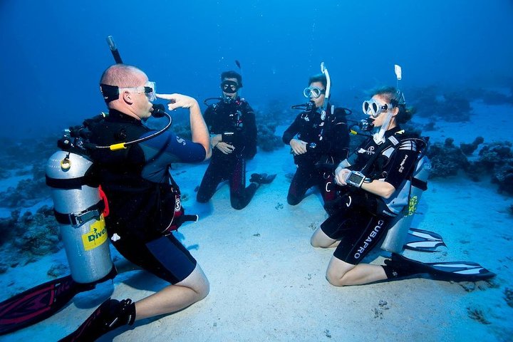 Scuba Diving Tour From Alanya - Side - Antalya - Image 4