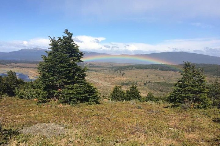 Punta Arenas and Magellan Strait Tour - Image 4