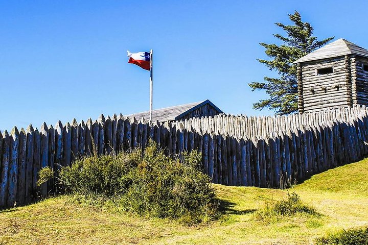 Punta Arenas and Magellan Strait Tour - Image 1